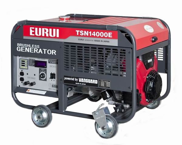 ձʹʵ෢TSN14000E