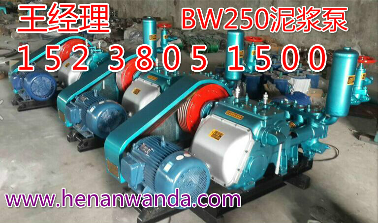 BW250ע  BW250ע۸