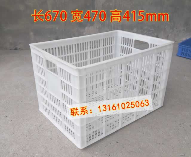 P12ŹϿתͿ670470415