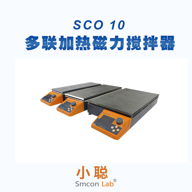 SCO 10ȴ