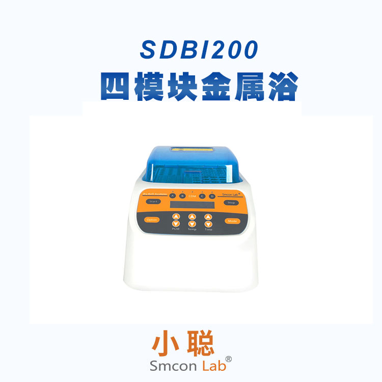 ģԡSDBI200