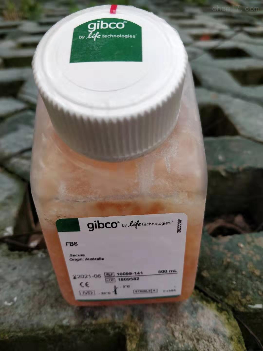 Gibco̥ţѪ