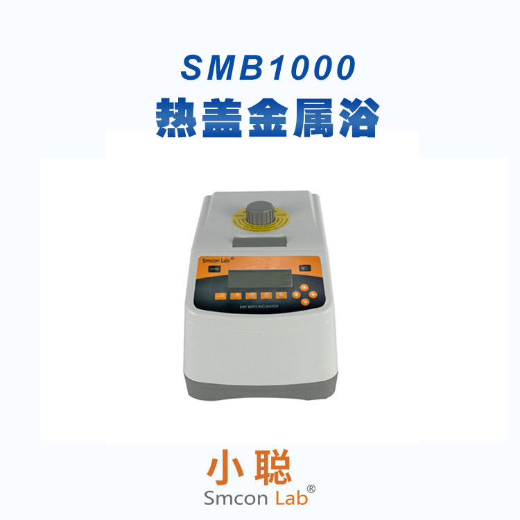 SMB1000ȸǽԡ