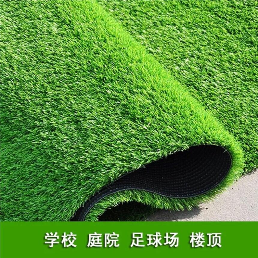 ɶƺƺֻ̼¥װμٲƤƤ