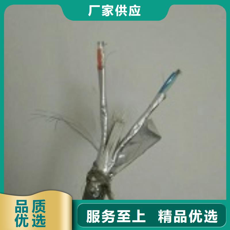 õ2*95WD-MYJY33-0.6/1KV-