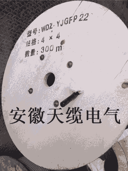 WDZ-YJGFP22-3KVתӸ߾Ե/µ޹˾Ӧ