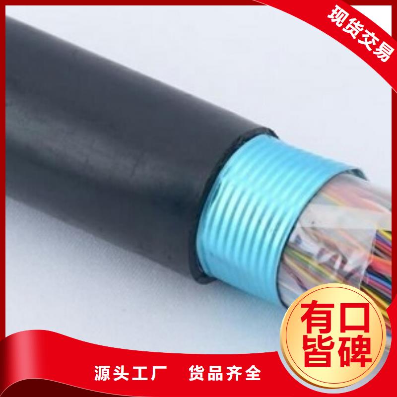 ȼ͵绰ZR-HYAT-25*2*0.9