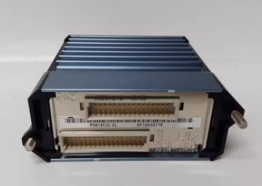 ICS Triplex T8231ҵԶPLCɱ߼?ĵԴģ