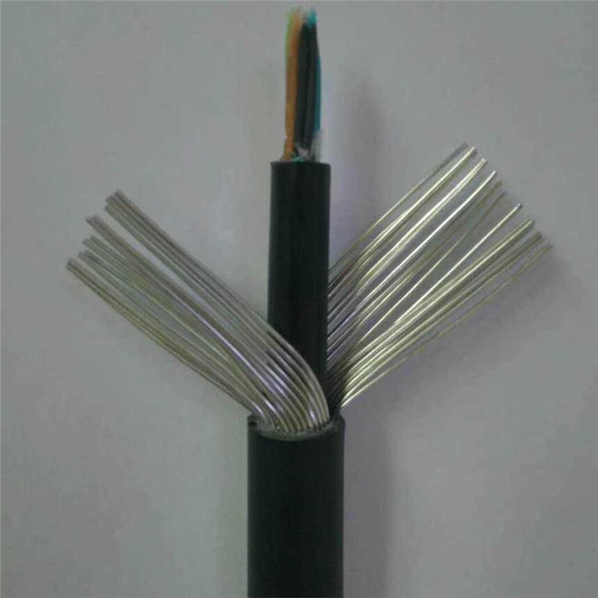 ӺƵRVVP22-300/300-6x1