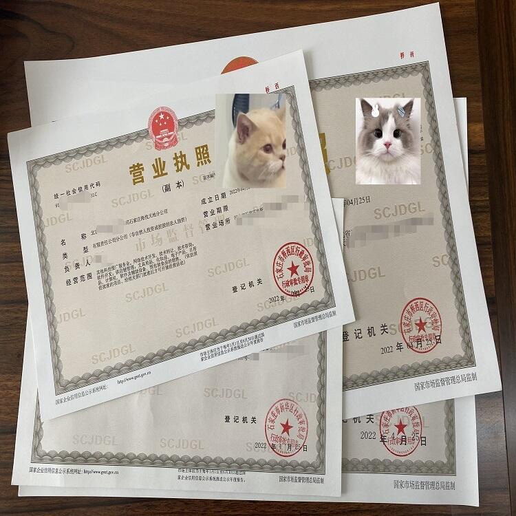 칤Ӫҵִ 칫˾ע  ע  赽 ʯׯԣ
