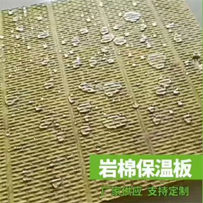 Ƕطˮްָ