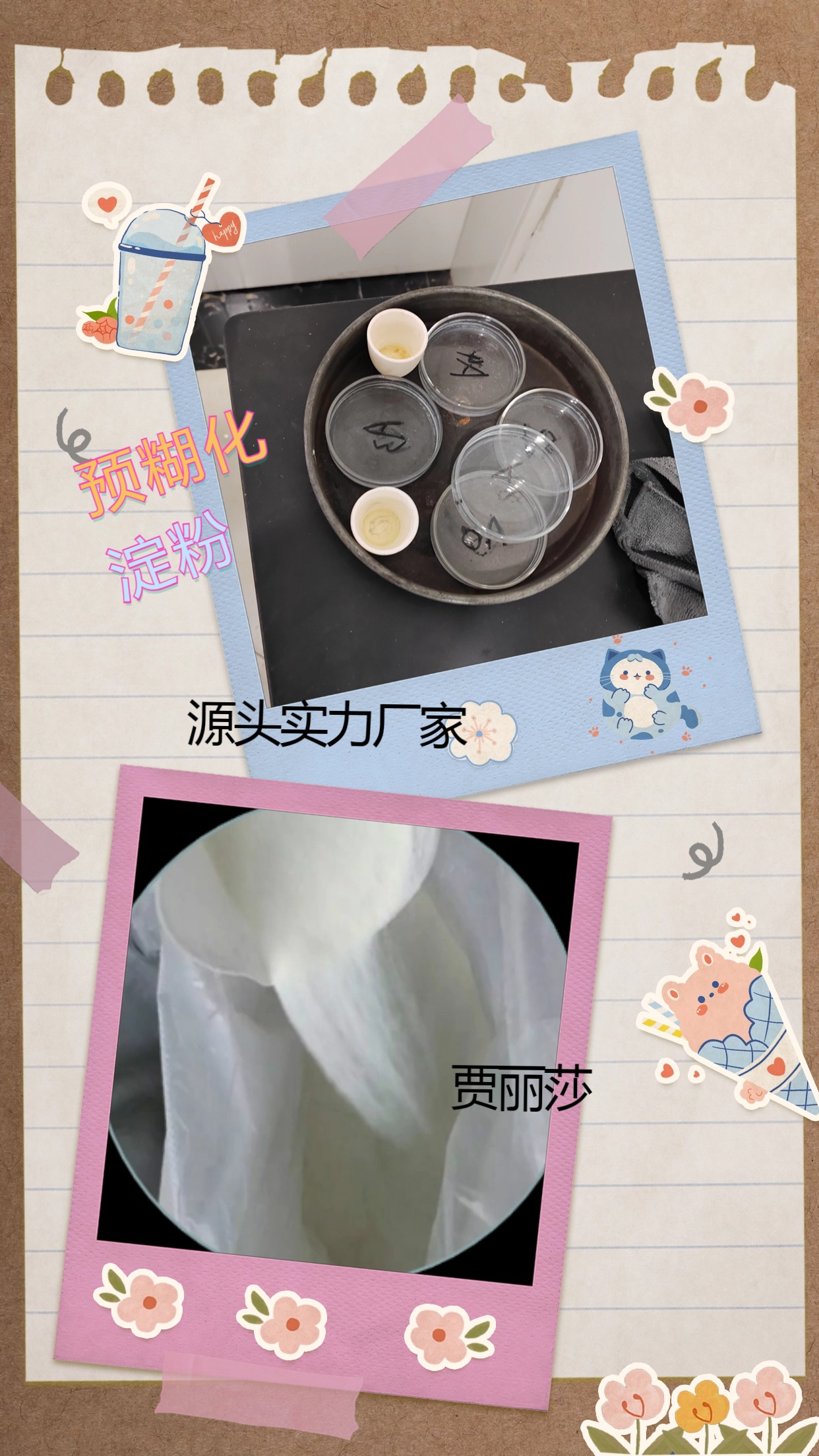 ճϼԤĴ