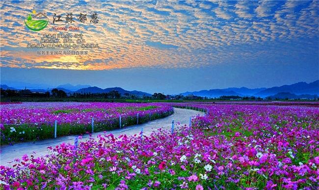 ˮл滮