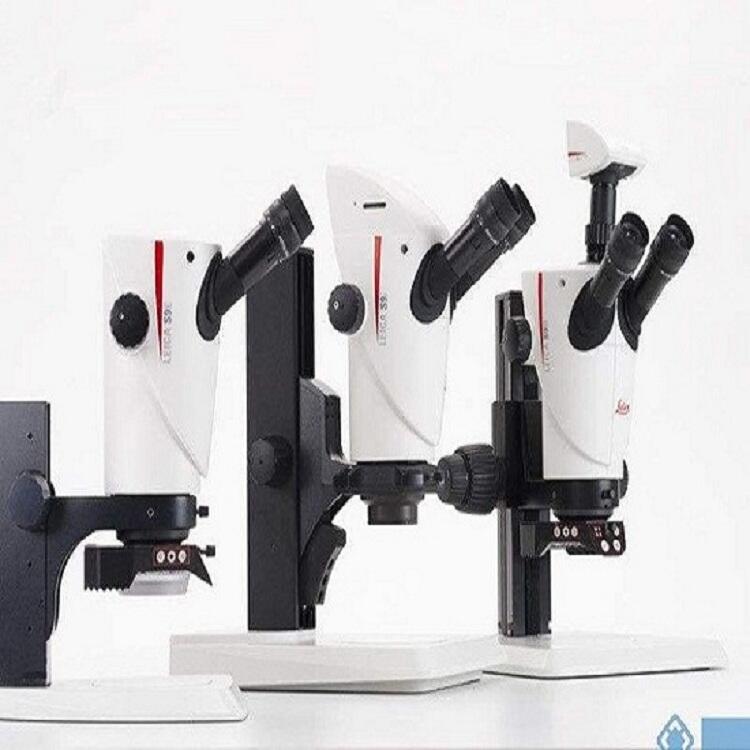 2023LEICA΢sapo