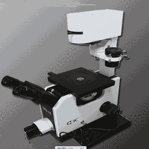 7΢XDS-1Bл