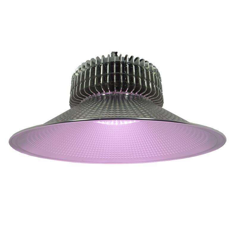 ֲƳ ݮ  150Wֲ