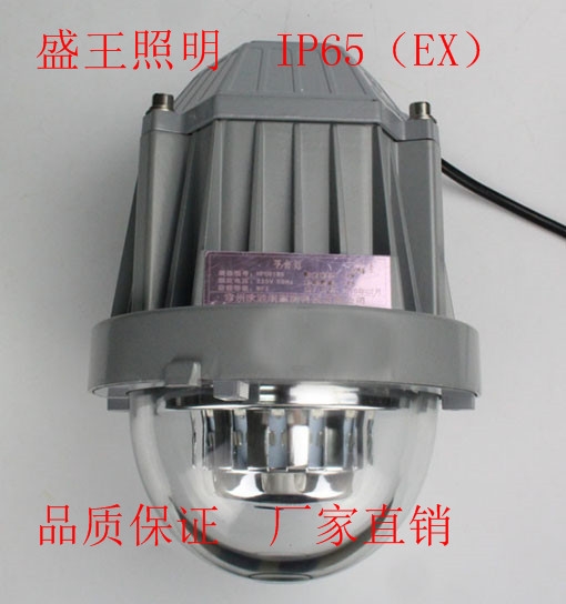 LEDFB2204