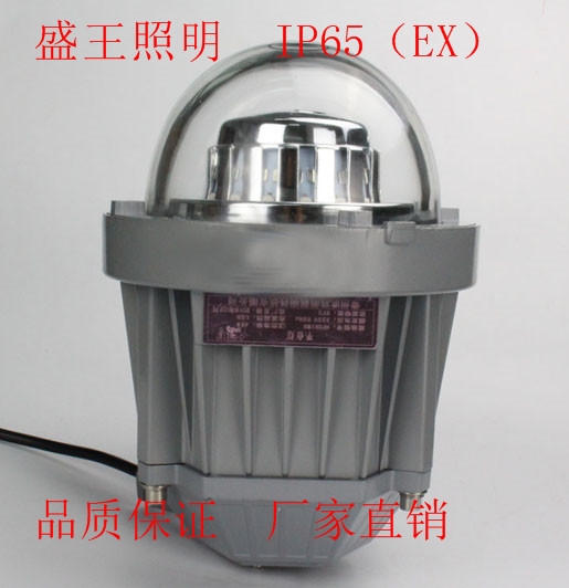 LEDFB2204