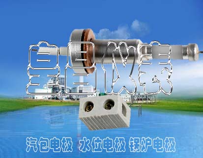 ¯缫ͺDJM1820-97DJM20ˮλ缫