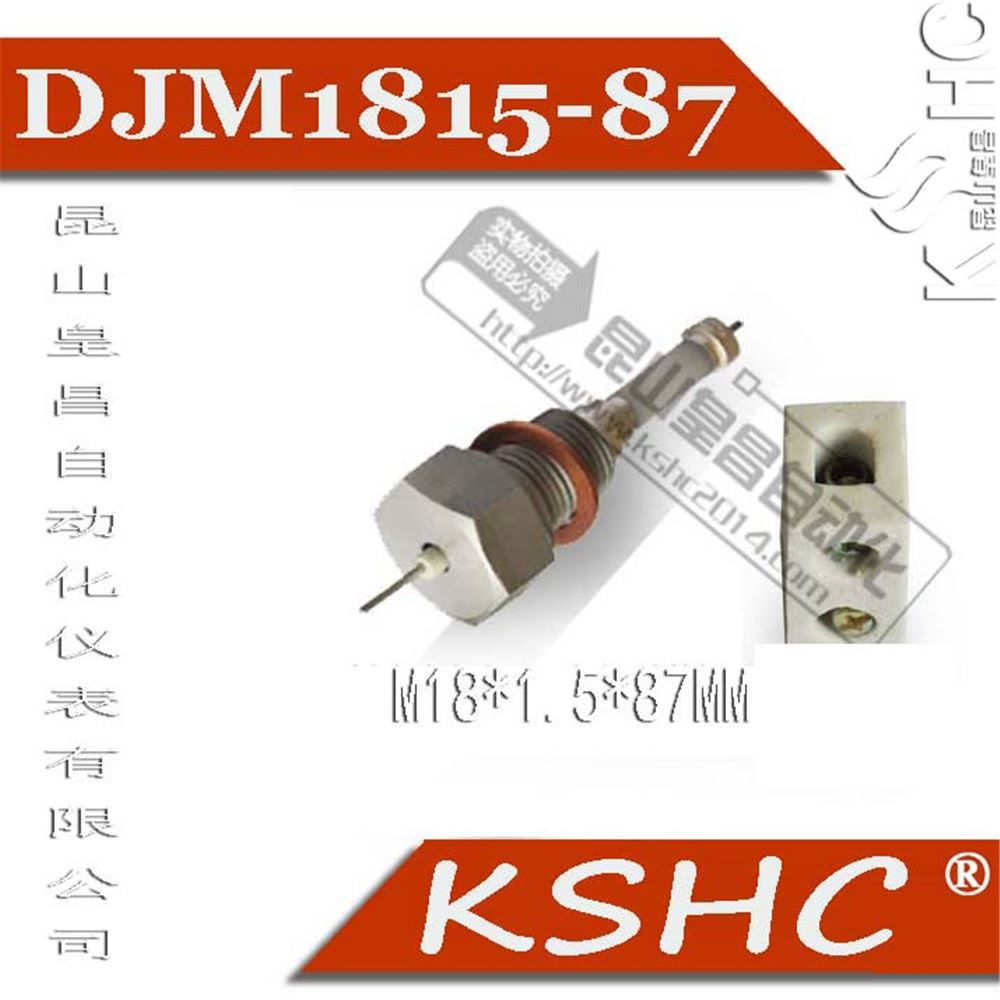 ¯缫ͺDJM1610-115ˮλ缫