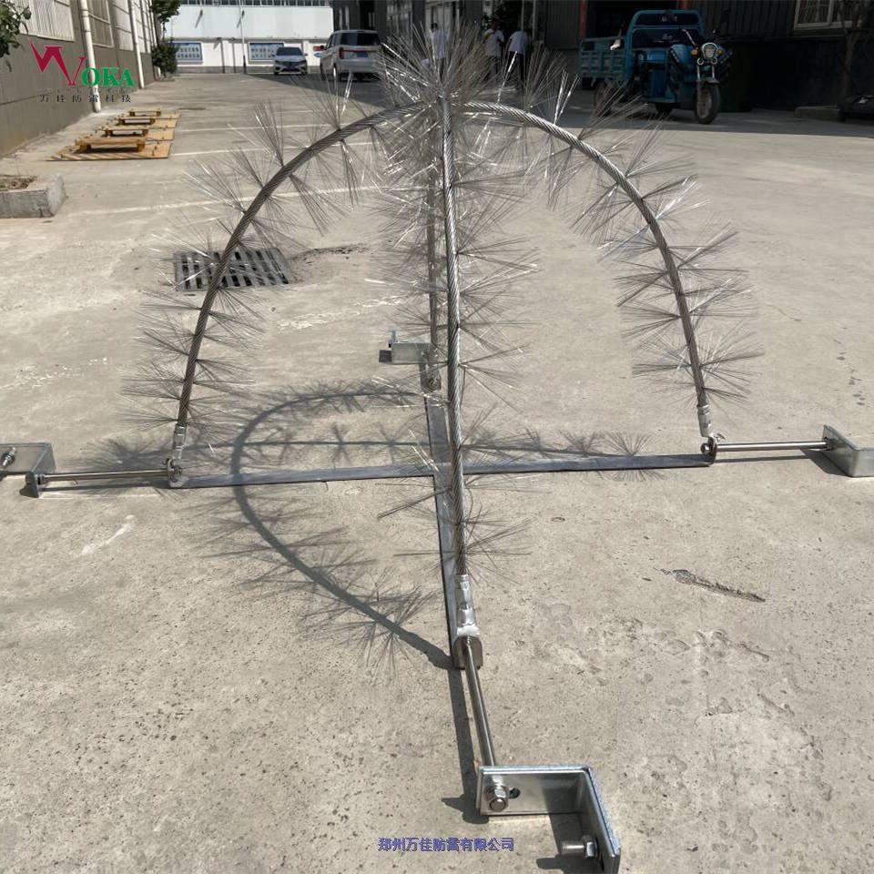 50׳ʽӦҰԹΦ˳80kg