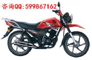 Ӧ´ޱSDH125-55 CB125XĦг