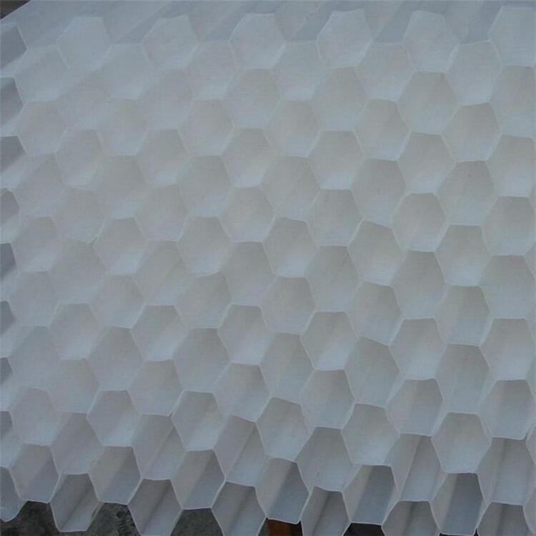 ï طб бܵҪ