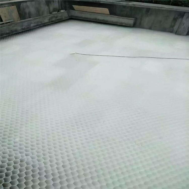 ï طб бܵҪ