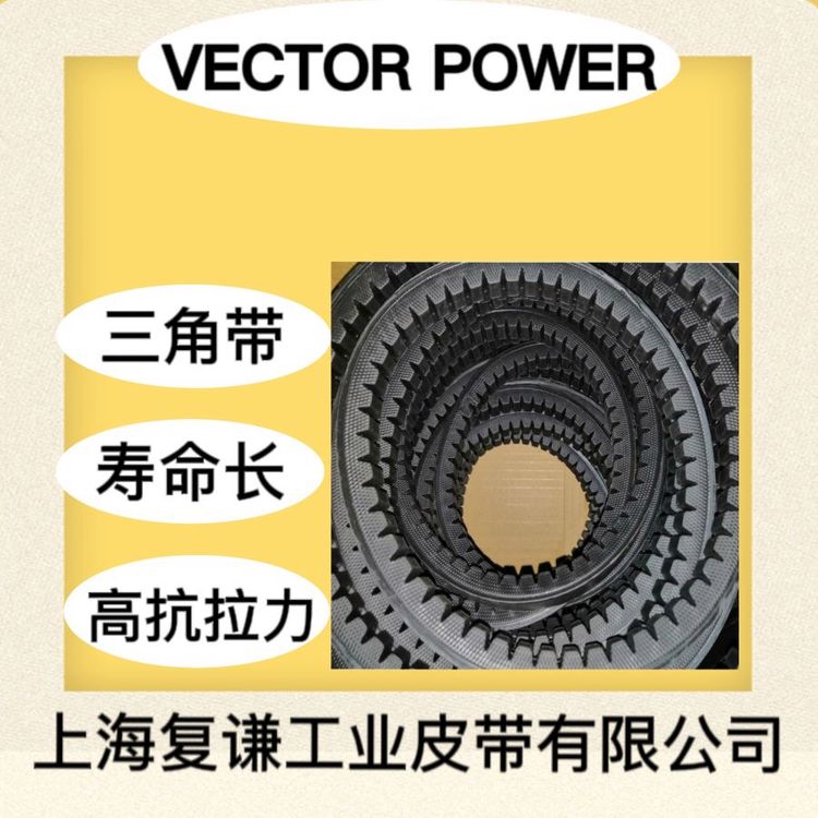 ǴVECTORPOWERƤɫн8V