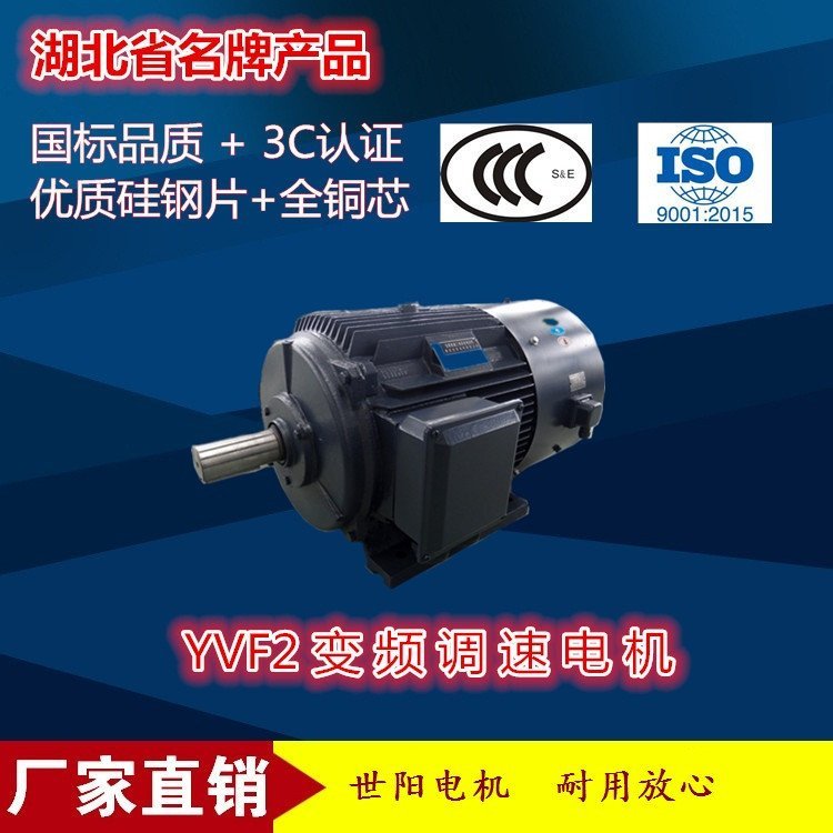 YVF2-100L2-4-3kwƵٵ綯