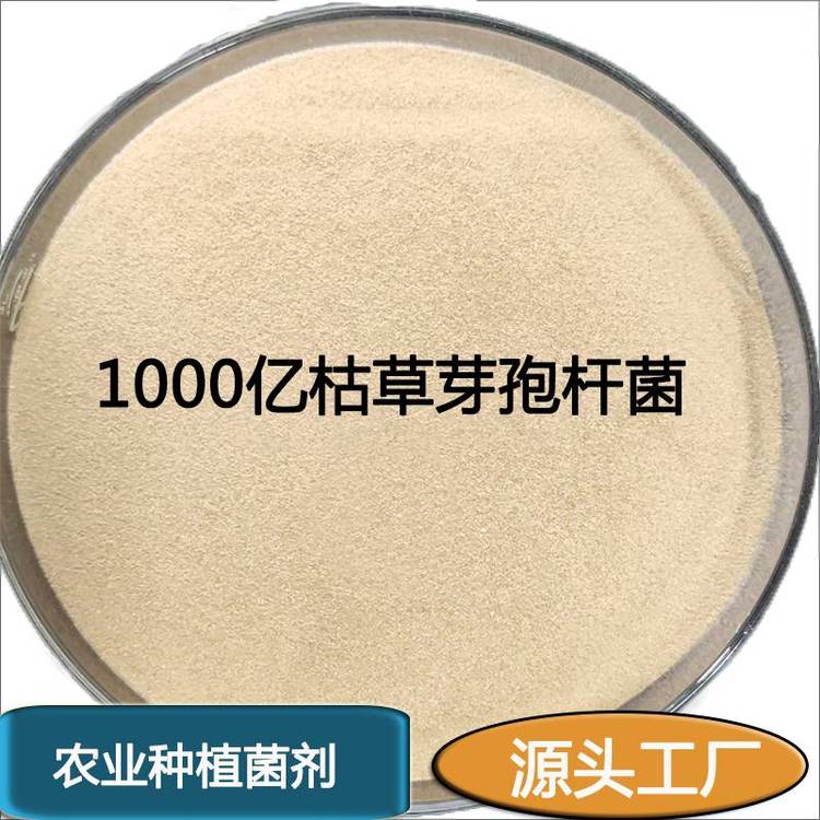 ȫˮܿݲѿ߸˾1000\/Ӽ25kg\/
