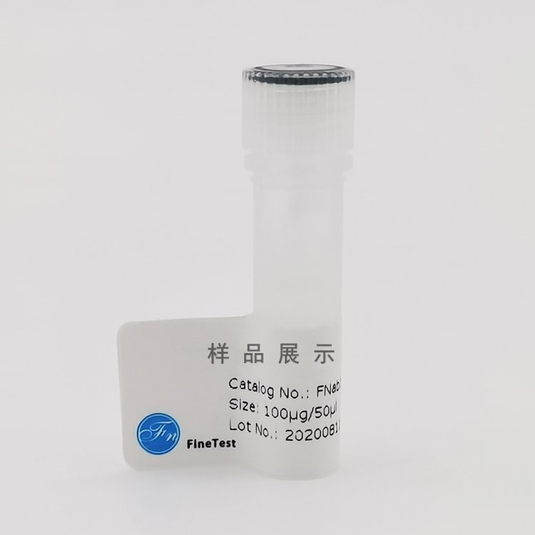 ENDOG(anti-ENDOGantibody)