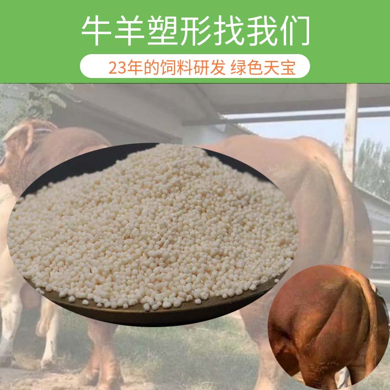 챦ţ̩׳Ĥһ߷ʷ20kg\/ɫĩ