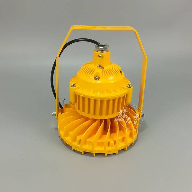 BLD220-LED50WѹIP666000K֧ʽWF2챾